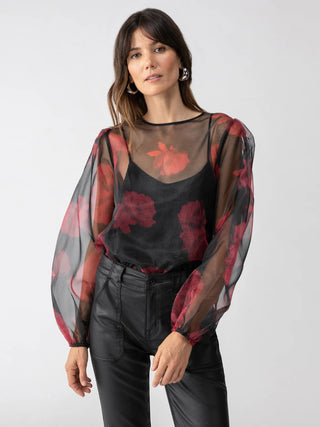 Moody Sheer Blouse Rose