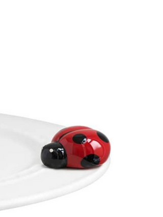 Lil' Ladybug
